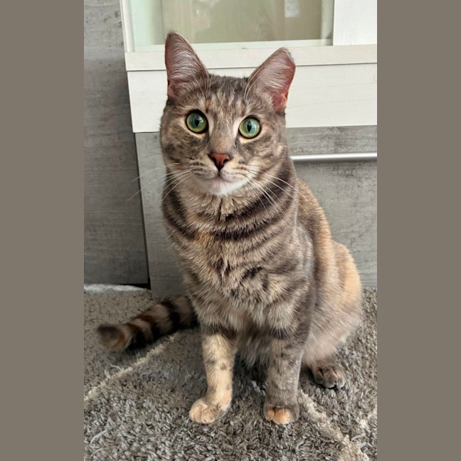 Photo of Charlotte