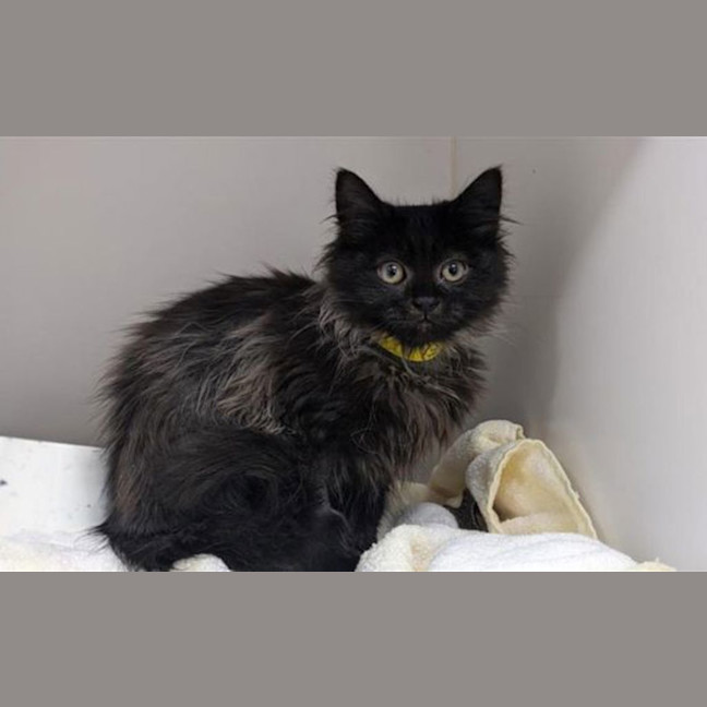 Photo of Temperance 