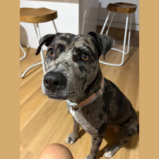 Photo of Winnie