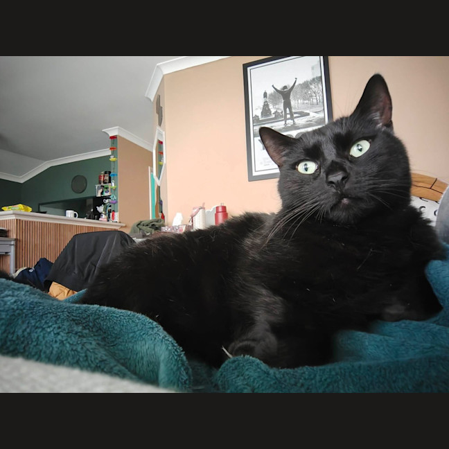 Photo of Charlie