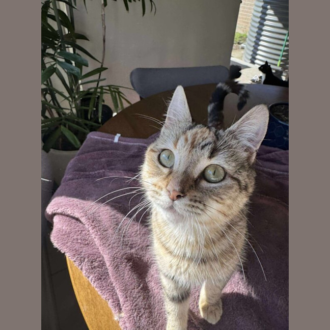 Photo of Xena