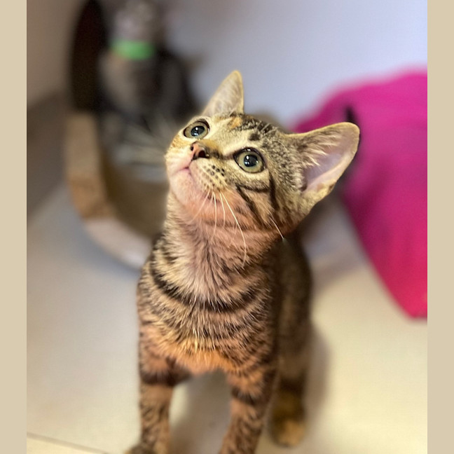 Photo of Tiny