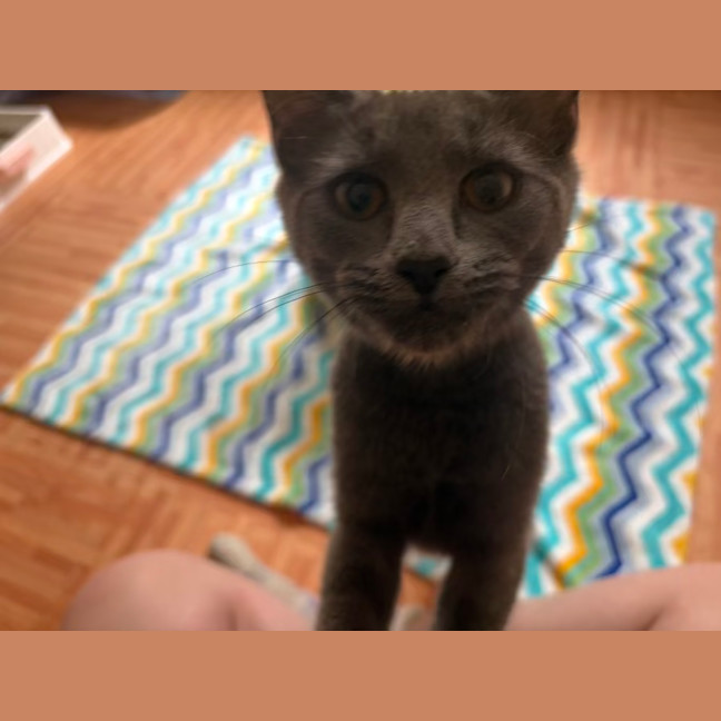 Photo of Rocket