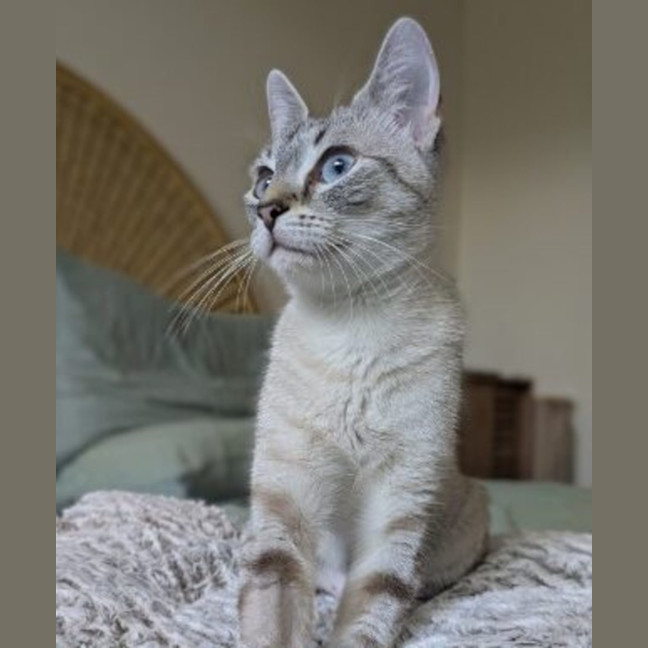 Photo of Angel & Demon