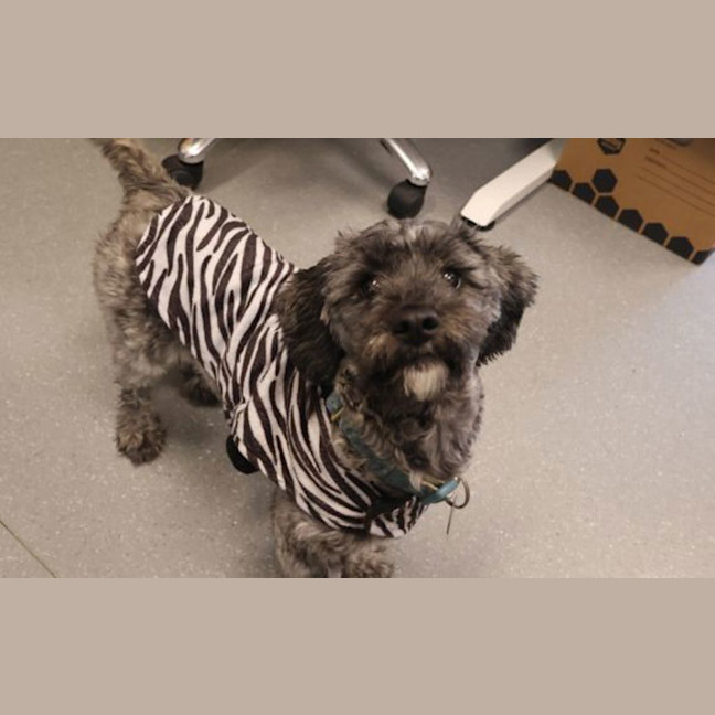 Photo of Murphy