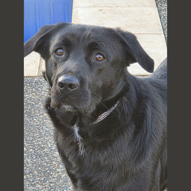 Photo of Max