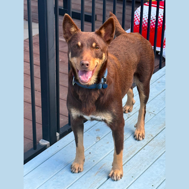 Photo of Hershey