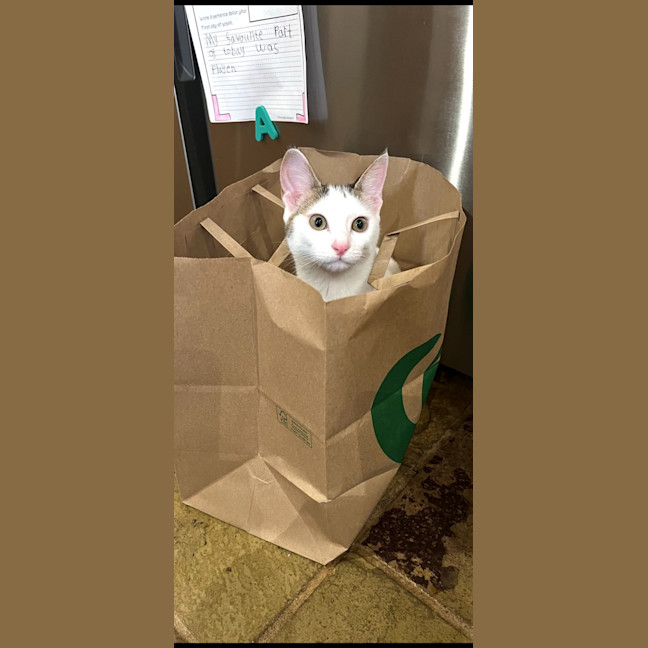 Photo of Lulu