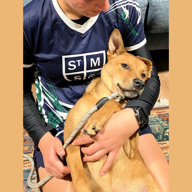 Photo of Bandit 