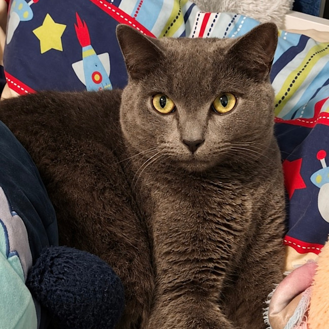 Photo of Stormy