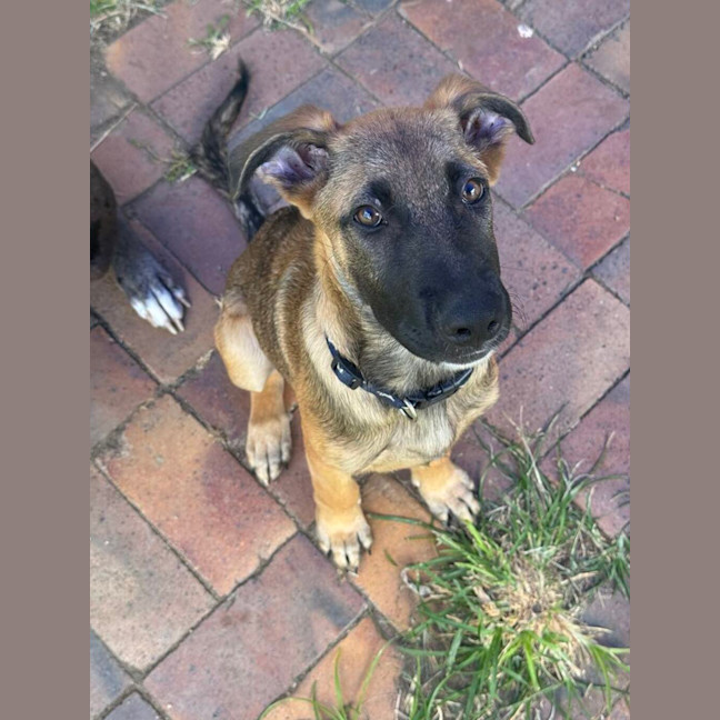 Photo of Maxi