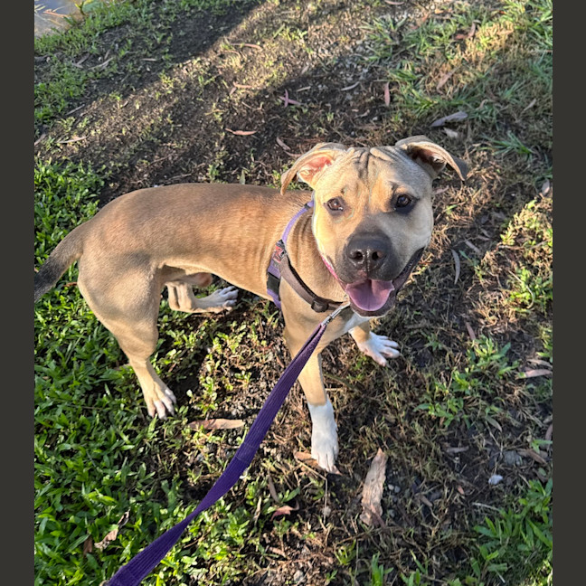 Photo of Tank