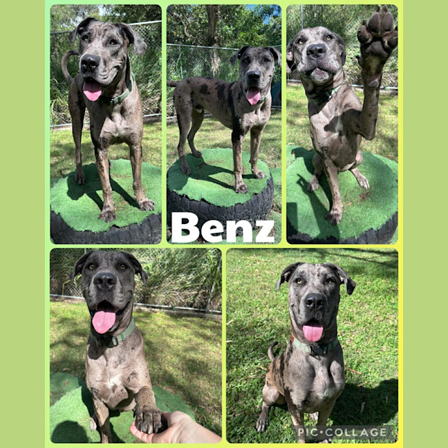 Photo of Benz