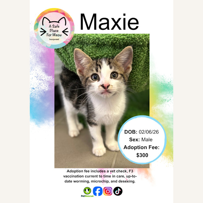 Photo of Maxie