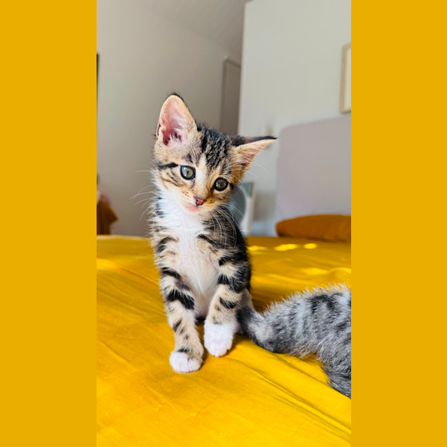 Photo of Cece 💕