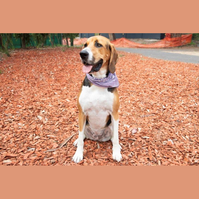 Photo of Lola Wilberforce