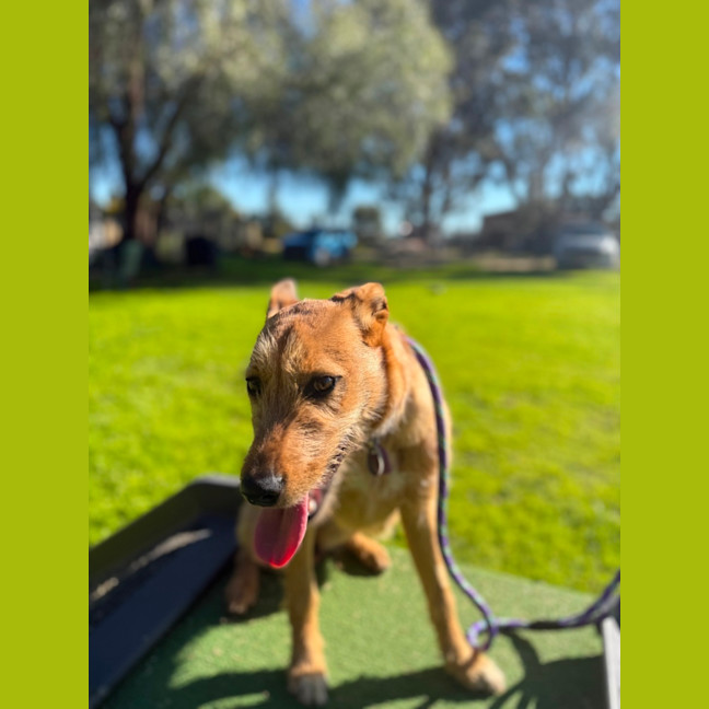 Photo of Lexi 