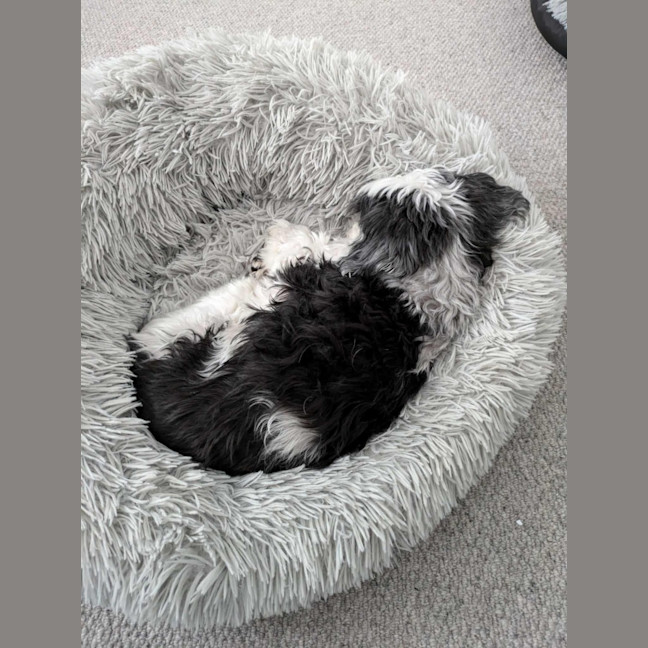 Photo of Molly