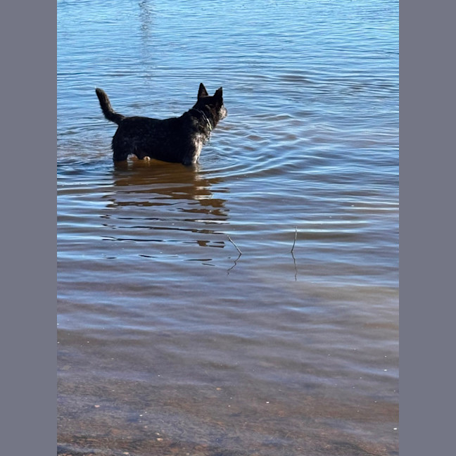 Photo of Storm