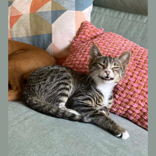 Photo of Your Uncle Kevin