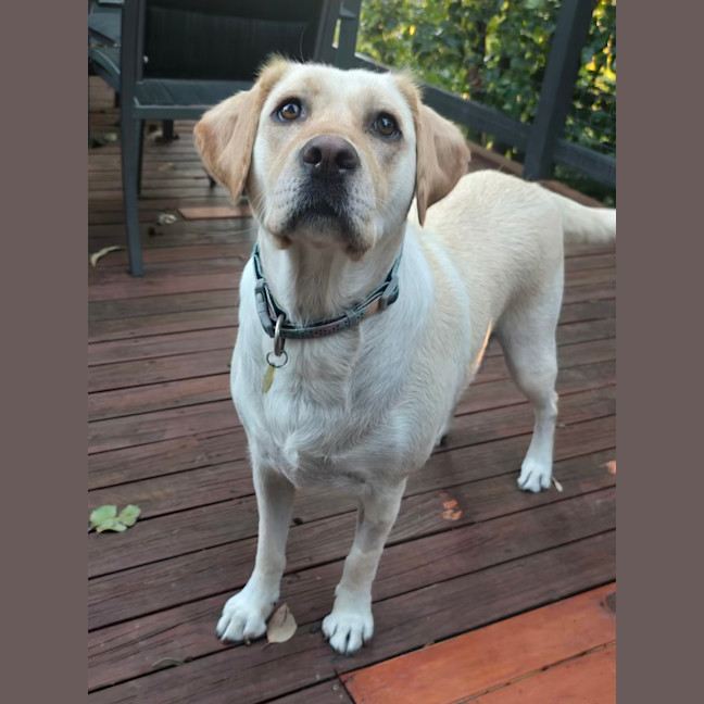 Photo of Hayleywaley