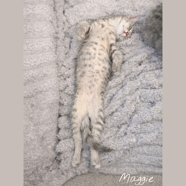 Photo of Maggie 🌈⭐️