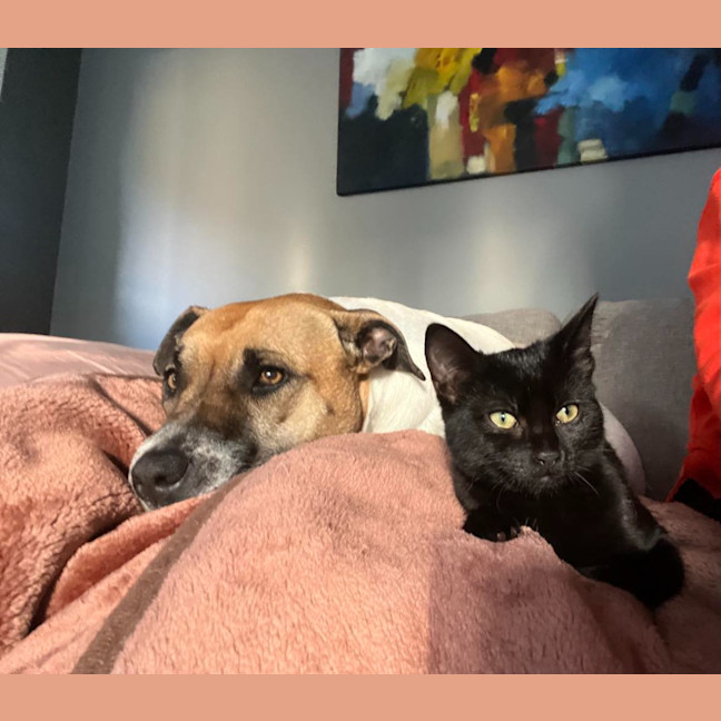 Photo of Pepper