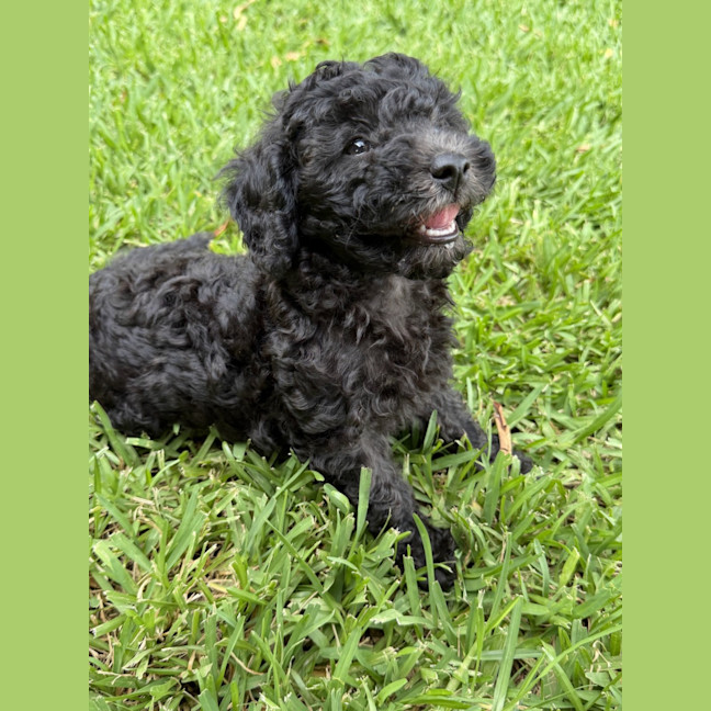 Photo of Faye