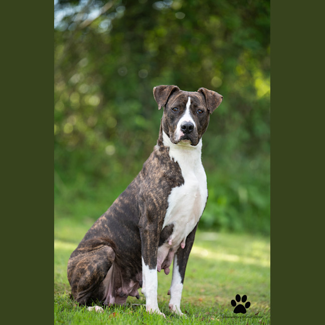 Photo of Sally