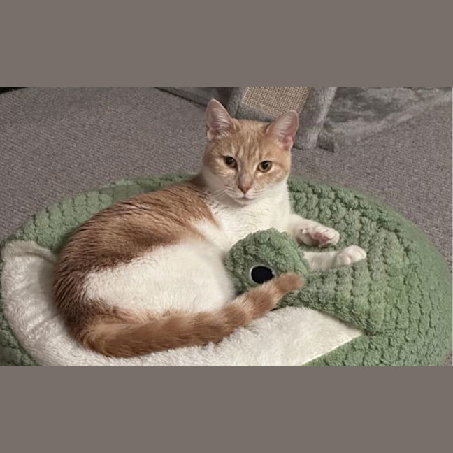 Photo of Lily