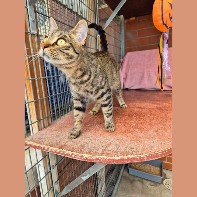 Photo of Jolene!👢