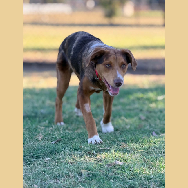 Photo of Ember