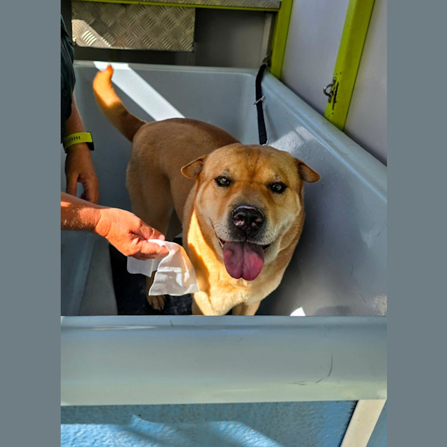 Photo of Molly & Sid