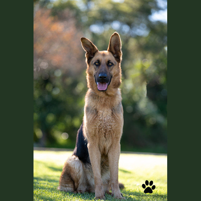 Photo of Sasha