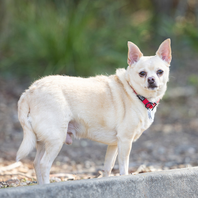 Photo of Zefi