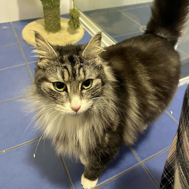 Photo of Hamish