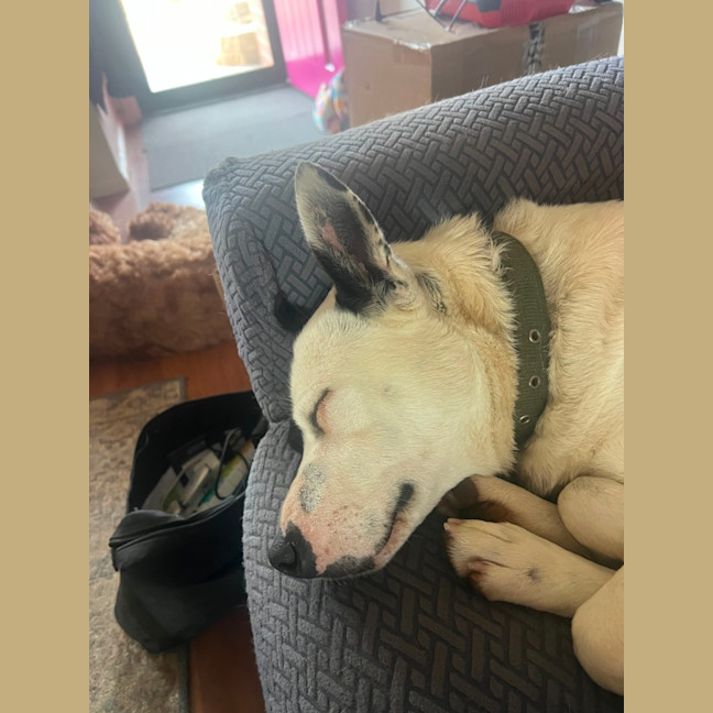 Photo of Heidi