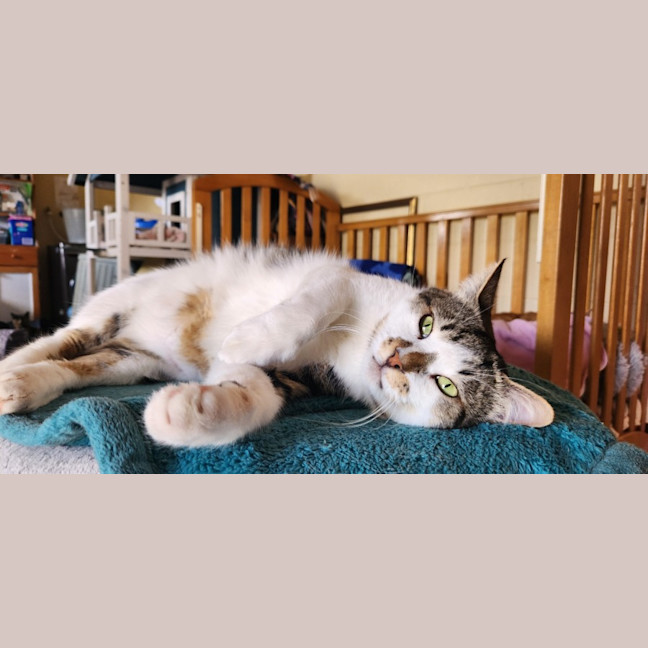 Photo of Thor. A Laugh A Minute!