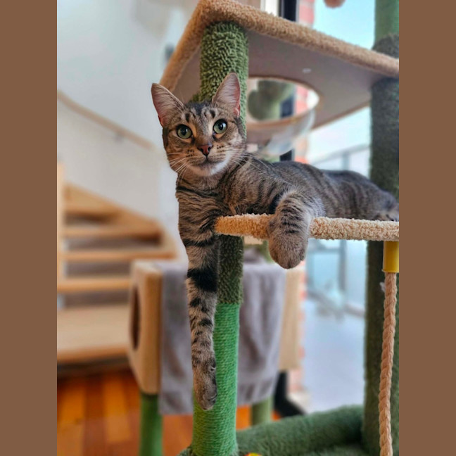 Photo of Tabitha