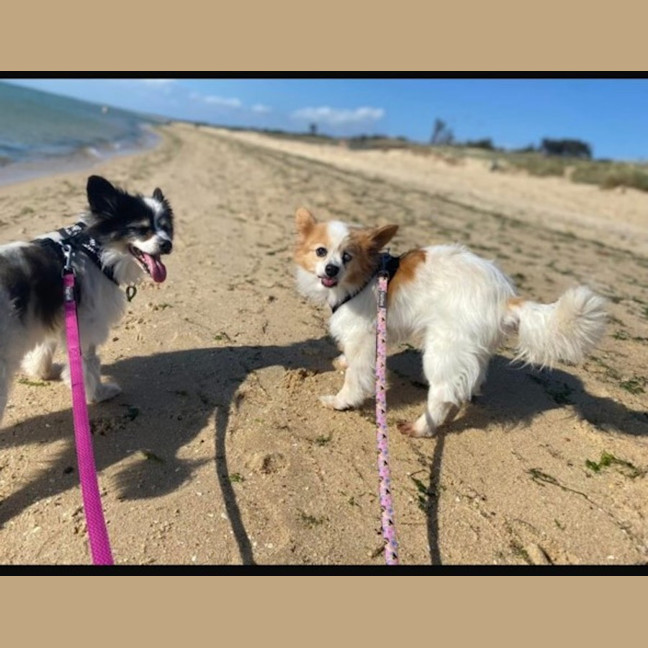 Photo of Zara & Zeke