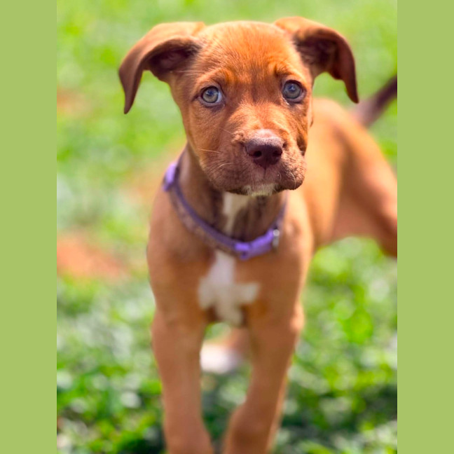 Photo of Maizie