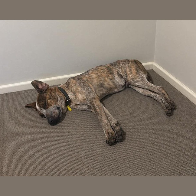 Photo of Puzzle