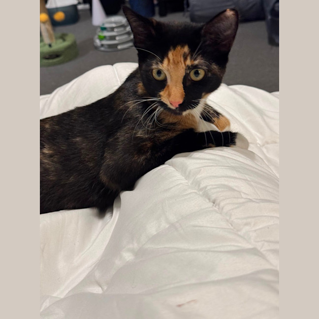 Photo of Nora 