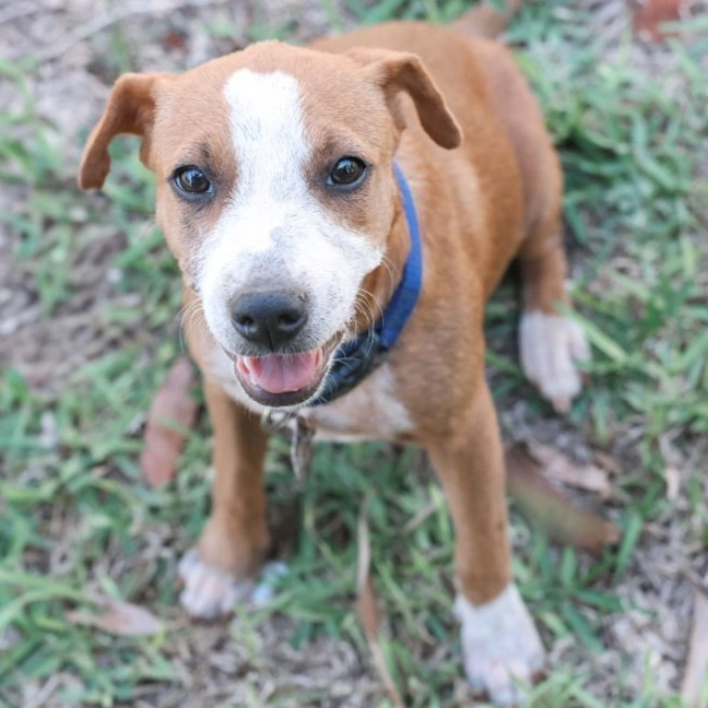 Photo of Gertie