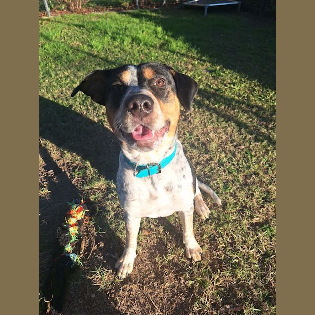 Photo of Dottie