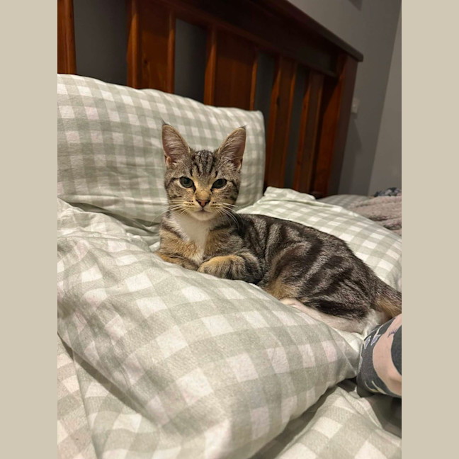 Photo of Leo