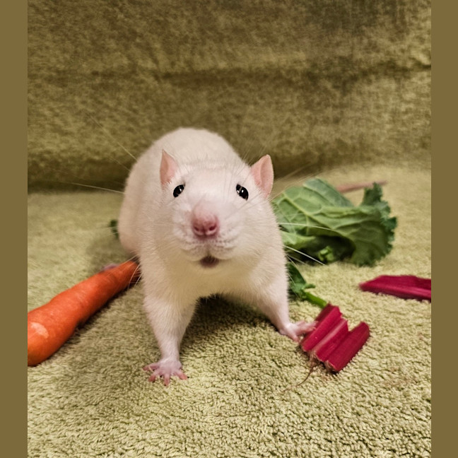 Photo of Fred