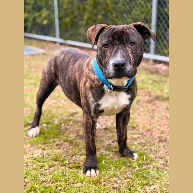 Photo of Tucker