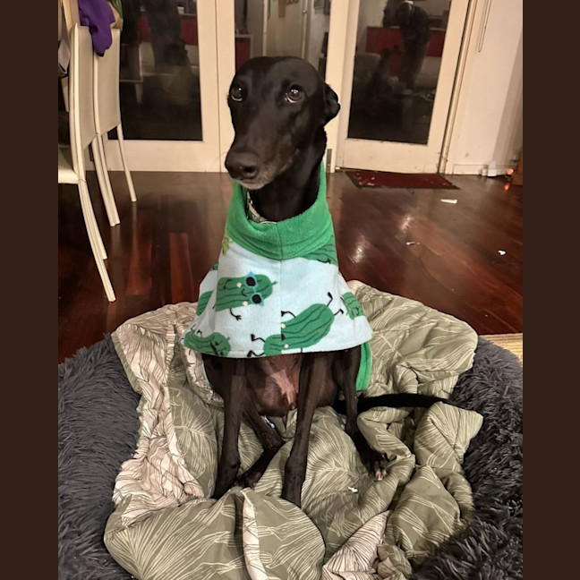 Photo of Keira