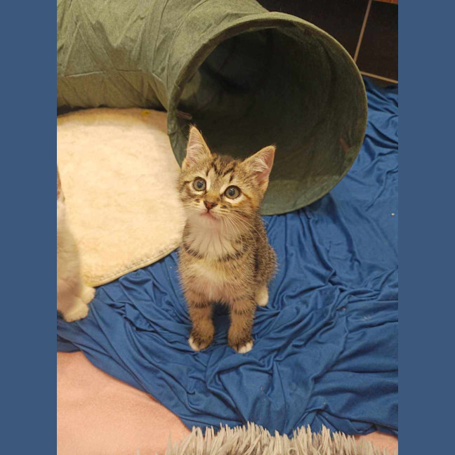 Photo of Winnie